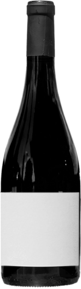 Singulier